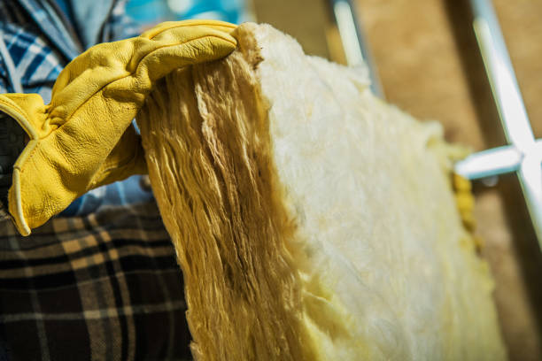 Best Residential Insulation in Sugar Land, TX